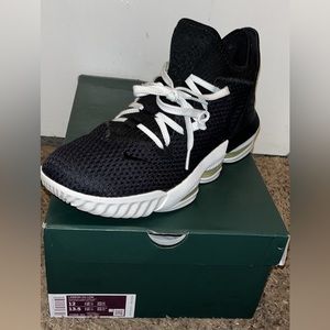 Lebron XVI Lows Python Black